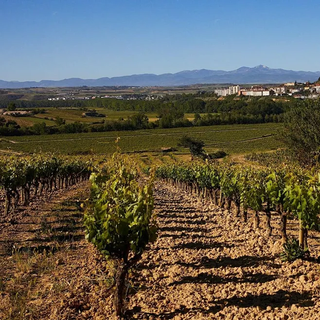 Photo by Bodegas Muga in Haro, La Rioja.-花瓣网