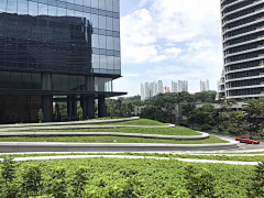尐嫚采集到草地