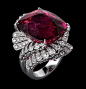 Cartier’s “L’Odyssée de Cartier Parcours d’un Style”卡地亚高级珠宝大片（三）
