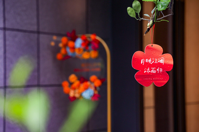 8N8A3911-opq67365953...