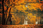 A woman taking photos of a lake, surrounded by trees with orange and yellow leaves in herastrau park