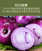 云南紫皮洋葱9斤农家自种新鲜洋葱头蔬菜红皮圆葱特产10包邮批发-tmall.com天猫