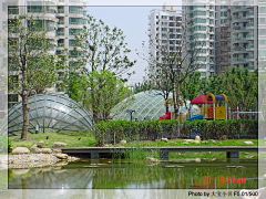 Alice1108采集到植物景观设计