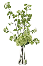 Viburnum | Hydrangea (WF818): Viburnum Hydrangea, White Green, Glass Pyramid, 19wx17dx35h