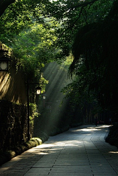 晓迟采集到风景