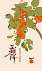 霜降时节