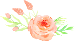 觅忆1采集到插画花