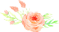 PNG素材 # 漂浮素材 # 植物 # 手绘花朵
@冒险家的旅程か★
