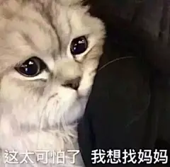 你的表情包来了。。。。