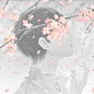樱花与少年