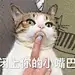 沙雕朋友圈