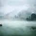 楚熹