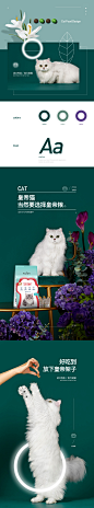 猫粮详情页_李潇洒_详情页图片-致设计