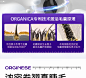 免费AI图像提升工具：提高图片的分辨率