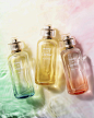 @孙尚香Scent 的个人主页 - 微博