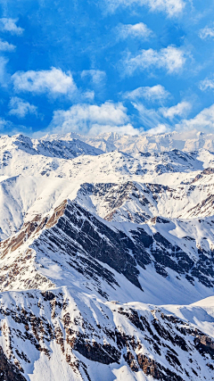____陳雪采集到背景