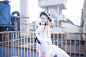 #碧蓝航线 光辉 cn：松下优璃亚