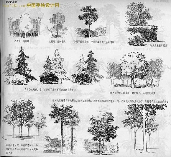 树的画法与表现技法 - 丹丹 - 丹丹的梦想城-花瓣网
