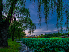 Y南叶采集到建筑，风景