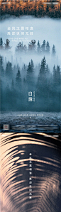 【源文件下载】 海报 房地产 二十四节气 系列 白露 136927