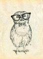 Nerdy Owlet by Redilion