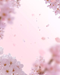 樱花和花瓣图片