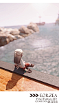 艾欧泽亚，中意
#FF14# #最终幻想14# ​​​​