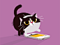 International Cat Day instagram like pet vector motion gif animation diadelgato catday interbnational cat