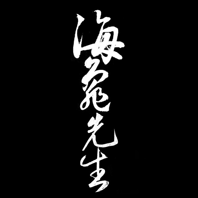 海龟先生-乐队Logo