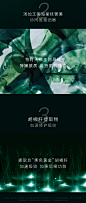 【抢先加购】HFP黑标黑藻水整肌修护精华水 舒缓补水保湿修护肌肤-tmall.com天猫