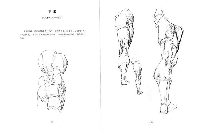 绘画082