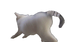李梓木1采集到沙雕小猫