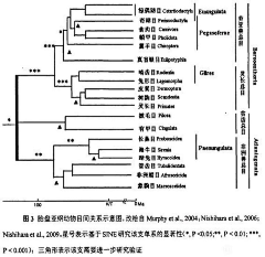 第十冬采集到非也