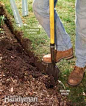 Best Garden Bed Edging Tips