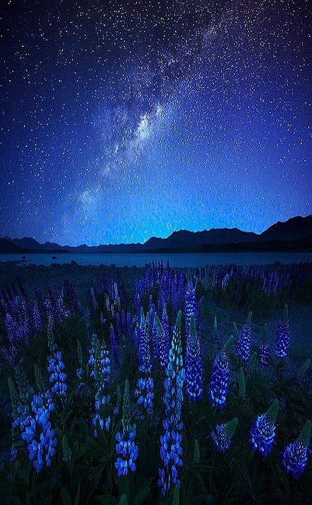 新西兰，特卡波湖，午夜的蓝色星空。