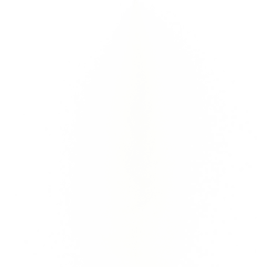 贺大王在此采集到光