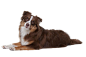  (2)