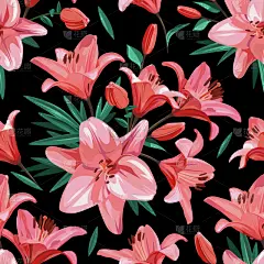 百合花,粉色,花纹,春天,绘画插图,黑色背景,贺卡,水彩画颜料,复古风格,植物