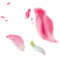 好多花瓣