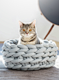 Ohhio Braid. Chunky Furniture for Pets