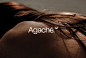Agache护肤品牌形象设计-古田路9号-品牌创意/版权保护平台