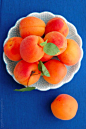 Apricots. Our family fortune.: 