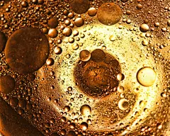 castor-oil-basics