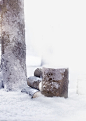 雪景中的树高清素材 冬天 冬季 树 树枝 雪景 免抠png 设计图片 免费下载