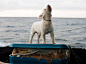 Corey Arnold 摄影欣赏《冒险在海上》 生活摄影 海 旅行日记 影像日记 宠物 