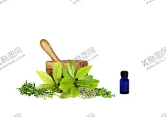 草本植物药材图片 【酷图网】中医,医学,传统,医疗,中药,中草药,药膏,中国风,工笔画,创意手绘,水彩中草,中草药植物,花卉本草,药,中草药材,药材,手绘,中医草药,中医药材,中药材,金银花,牛黄,黄连,人参,甘草,薄荷,冬虫夏草,丁香,药材插画,线稿,素描,手绘药材,手绘中药,草本,草药插画,手绘植物,免扣,PNG,素材