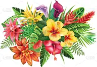 热带的花,生物学,活力,环境,植物,夏天,雨林,排列,花,生长