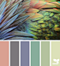 Design Seeds : Design Seeds color palettes ... posted daily for all who love color.