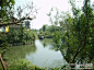 十月五日游杭州西溪国家湿地公园掠影之三 西溪湿地公园, 点子222旅游攻略