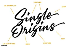 时尚品牌手写签名英文字体 Lil Stuart Ligature Font 字体下载 